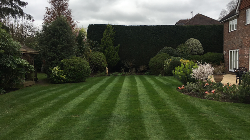 Garden Maintenance Guildford, Horsely, Esher, Oxshott