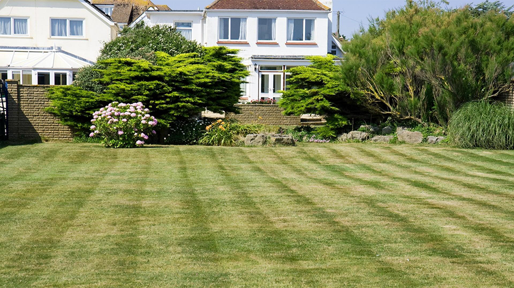 Southeast Landscapes Projects