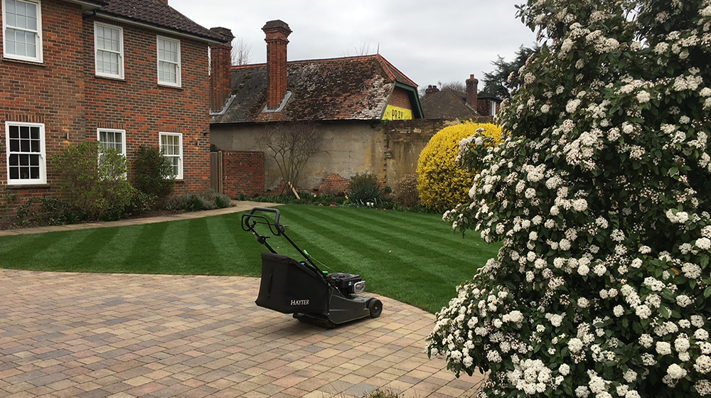 Southeast Landscapes Services